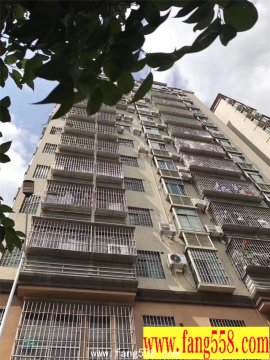 宝安西乡固戍地铁口500米-西昌公寓 开发商推出保留房源20套 户户?