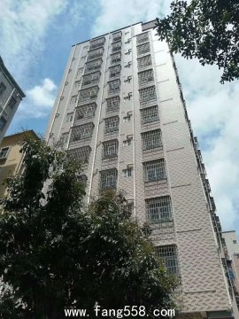 坂田小产权房《中心雅苑》坂田小产权房出售新房　坂田小产权房新?