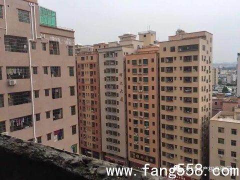 深圳龙华上塘地铁站小产权房:上塘学府29.8万离上塘地铁口走路几分钟